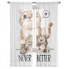 Two Kittens Sheer Window Curtains For Living Room Bedroom Modern Voile Tulle Curtains Fabric Drapes For Kitchen