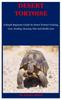 Libro Desert Tortoise : A Simple Beginners Guide On Desert Tortoise Training, Care, Feeding, Housing, Diet And Health Care