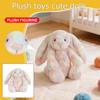 Plush Toys, Cute And Perfect Birthday Gifts For Friends And Classmates, Graduation Gifts