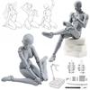 CHALAN Drawing Full with Human Anatomy for Muscle Art Gray Doll, 30-Joint Articulation, Body, Stand, Male/Female Figure, Model, Mannequin, Drawing,