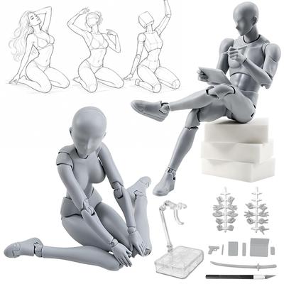 CHALAN Drawing Full with Human Anatomy for Muscle Art Gray Doll, 30-Joint Articulation, Body, Stand, Male/Female Figure, Model, Mannequin, Drawing,