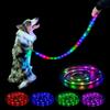 Illuminated Rainbow Dog Leash with LED Light for Pets At Night (Medium Fittings, 150cm)