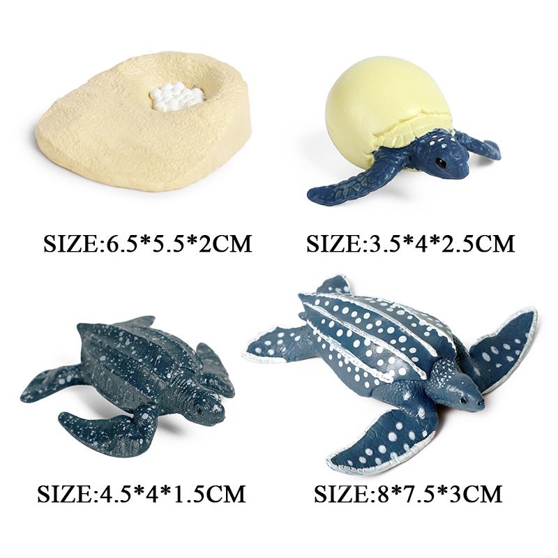 Oenux Ocean Animals Leatherback Tortoise Turtle Growth Cycle Sea Life Model Figurines Action Figures PVC Education Kid Toy Gift
