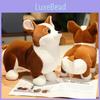 Brinquedo de Pelúcia Fofo Cachorro Corgi Animal de Pelúcia Macio e Abraçável para Crianças e Animais de Estimação Cor Marrom e Branco 23cm
