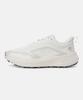 [Descente] Flyridge Trail Running Shoes [SP313RRN83_BEG0]