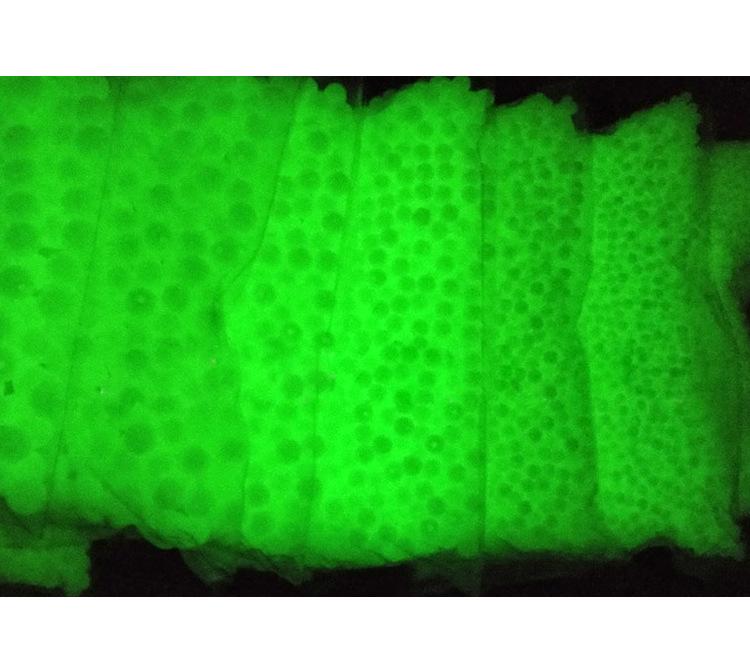 Bunte leuchtende Harzperlen für Angelzubehör & Schmuck - Fluoreszierende Halskettenhaken & Zubehör