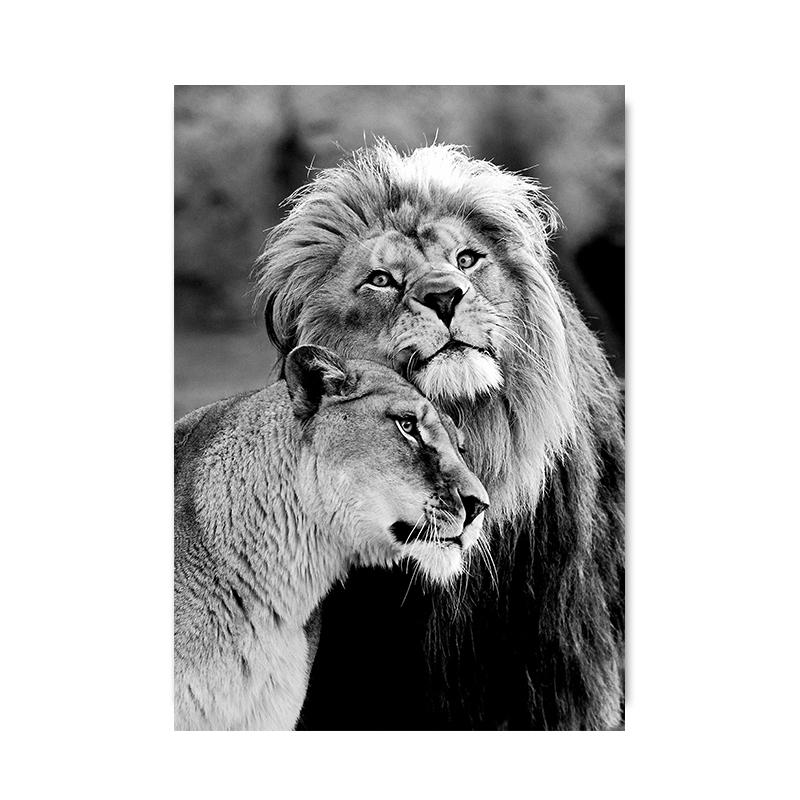 Modern Animal Lovely Lion Canvas Painting Posters and Prints Wall Art Pictures for Living Room Home Decoration Cuadros