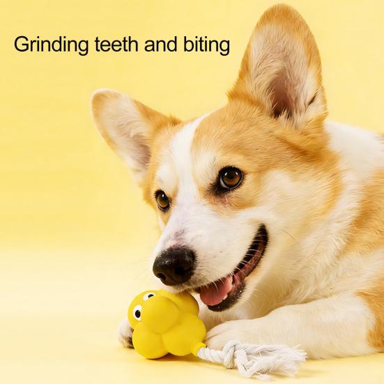 Pet Toy Soft Latex Material Sound Design Interactive Puppy Chew Toy Cartoon Design Teeth Oral Health Safe Chew Toy