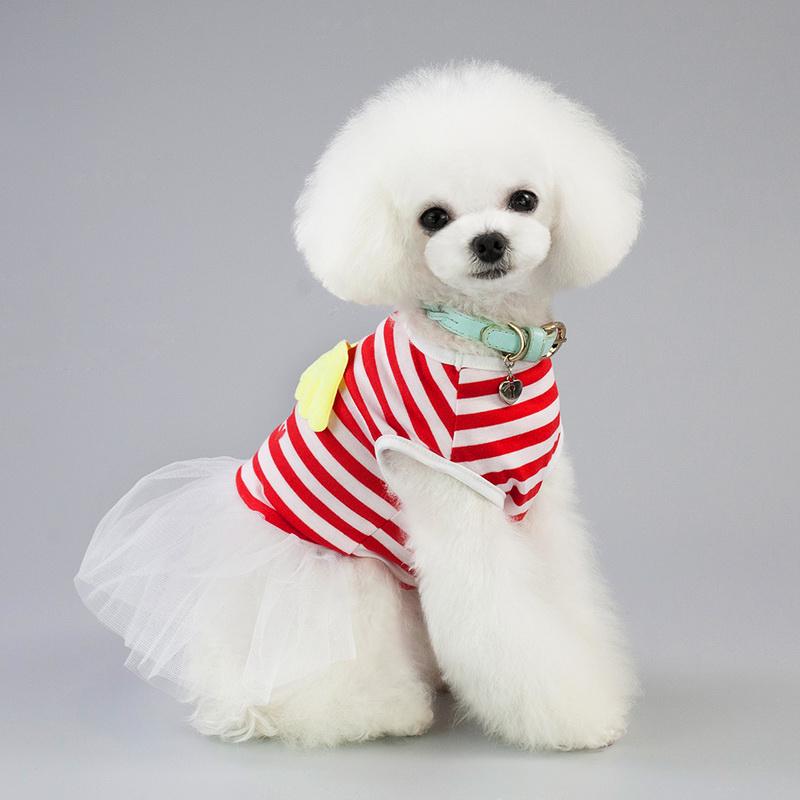 dog tutu costume