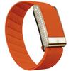 Solo per Cinturino per Orologio WHOOP 5.0 Braccialetto Intrecciato in Nylon Elastico Design Diamante Oro Cinturino di Ricambio Sportivo