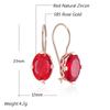 Shiny Red Natural Zircon Drop Earrings For Women Fashion  Rose Gold Color High Quality Daily Fine Vintage Jewelry