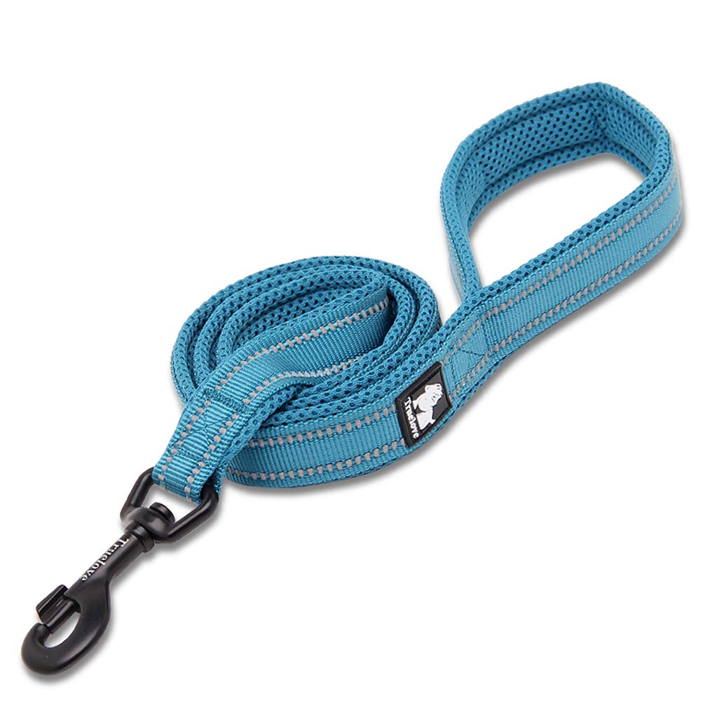

Paradise Classic Dog Officially Licensed in Easy to Training 3M Reflective TRUELOVE J&C Leash, Japan, Hold, Leash, Long, Material, Nylon, Breathable, синий