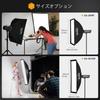 TARION 30x120cm Strip Softbox Foldable Bowens Mount Quick Release Storage Bag Honeycomb Grid Diffuser for Flash and Strobe