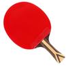 Raquette de tennis de table DHS 9 étoiles H9002 Horizontale