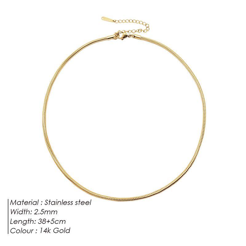 Steel Necklace Round Snake Chain for Women Simple Light Luxury Plain Chain Couple Clavicle Chain European and American Fashion Snake Bone Chain
