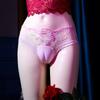 Large Size Crossdressing Transgender Underwear Hiding Gaff Shaping Panties Brief Men Embroidery Briefs Apparel Male To Female