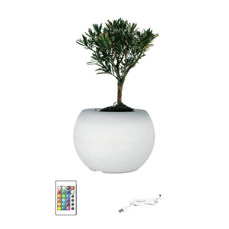 Color Changing LED Planter Pot For Succulents Indoor Gardening And Home Decoration With Illuminated Base