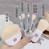 Mini Portable Set of 6 Brushes, Beginner Soft Animal Hair Eyeshadow Brush Blush Brush Makeup Brush Set