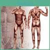 Digital Fitness Print Simulation Muscle Bodysuit  Men Stage Performance Clothing