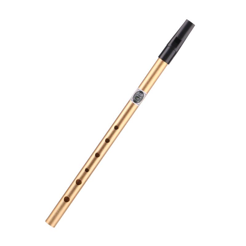 

Ірландська флейта-блокфлейта для початківців - Сопрано-блокфлейта в тональностях C і D для учнів