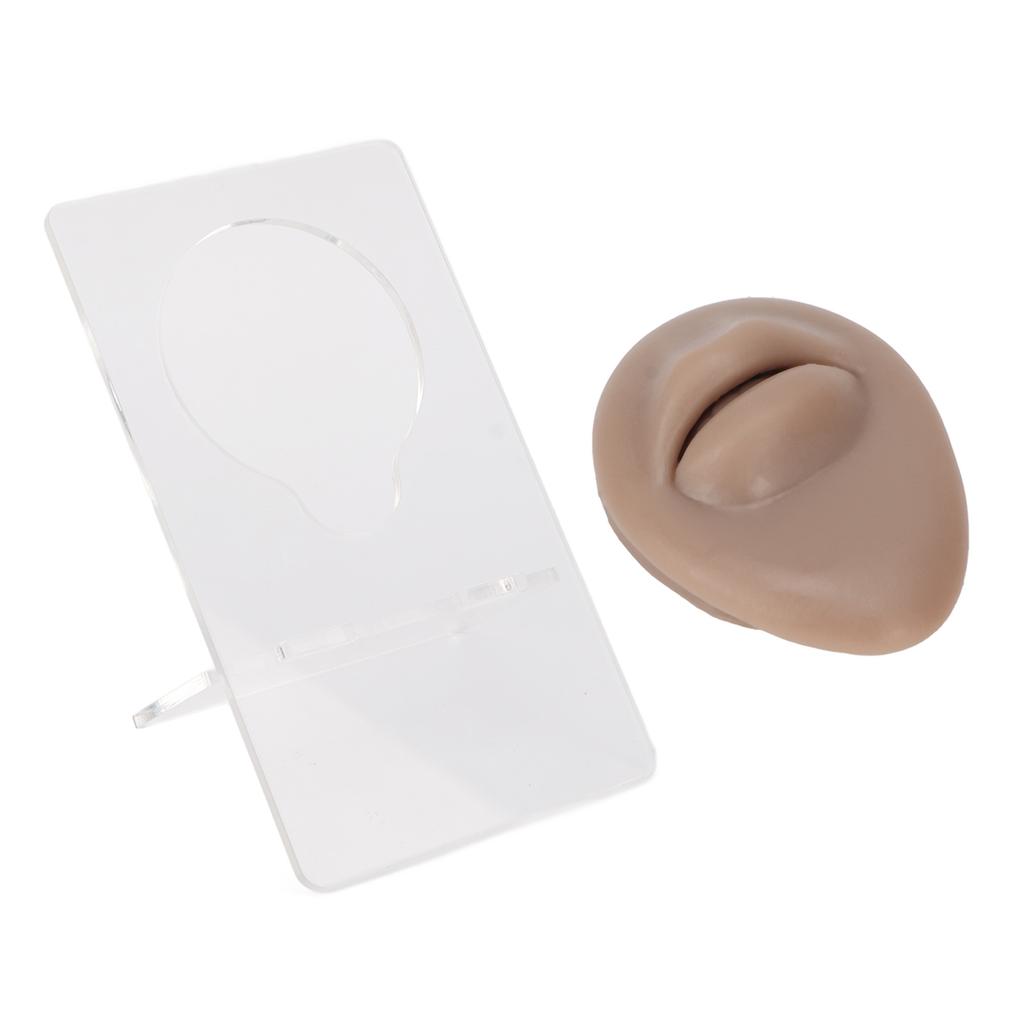Simulated 3D Mouth Model Piercing Practice Silicone Mouth Model with Acrylic Stand for Jewelry Display Dark Skin Color
