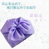 Wyjątkowy smak. Letni prezent z Sanin Tradycyjne japońskie słodycze Sezonowy wybór dwunastu rodzajów Namagashi w rozmiarze kęsa (Furoshiki Wrap) Ograniczony