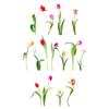 [R6021] - Multicolored 'Tulips' Sticker Sheet - 20x70 Cm