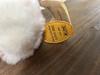 [USED] Steiff Molly Teddy Bear, commemorating Princess Aiko's birth, limited to 2002 pieces, Japan exclusive