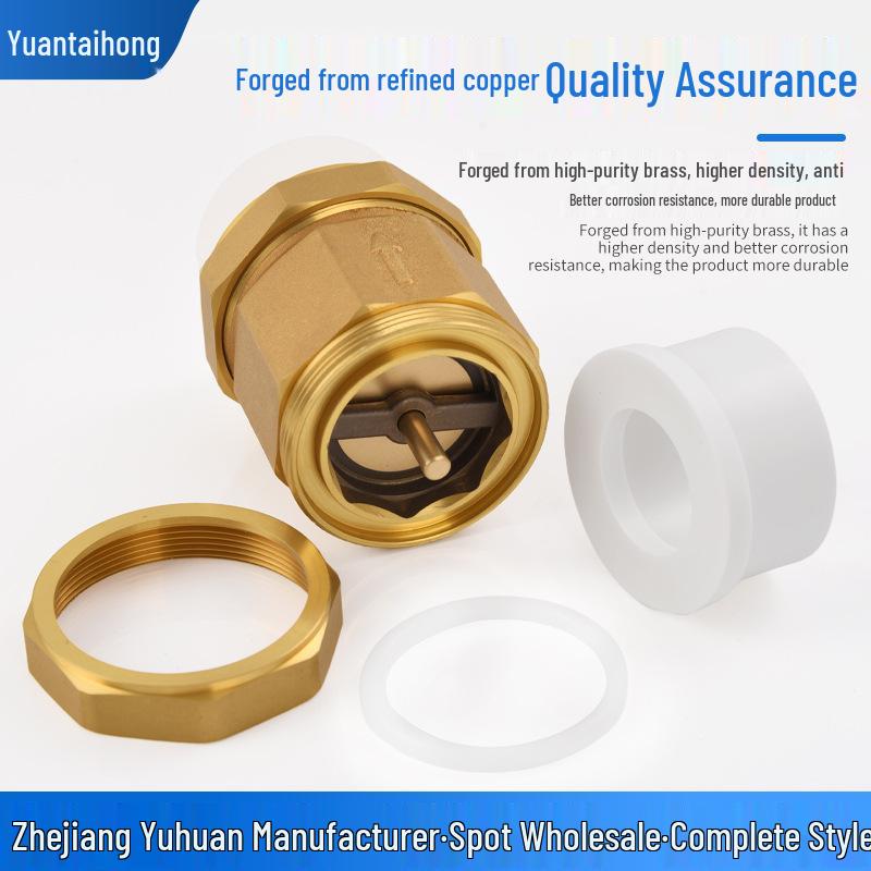 Brass PPR One-Way Check Valve Backflow Preventer