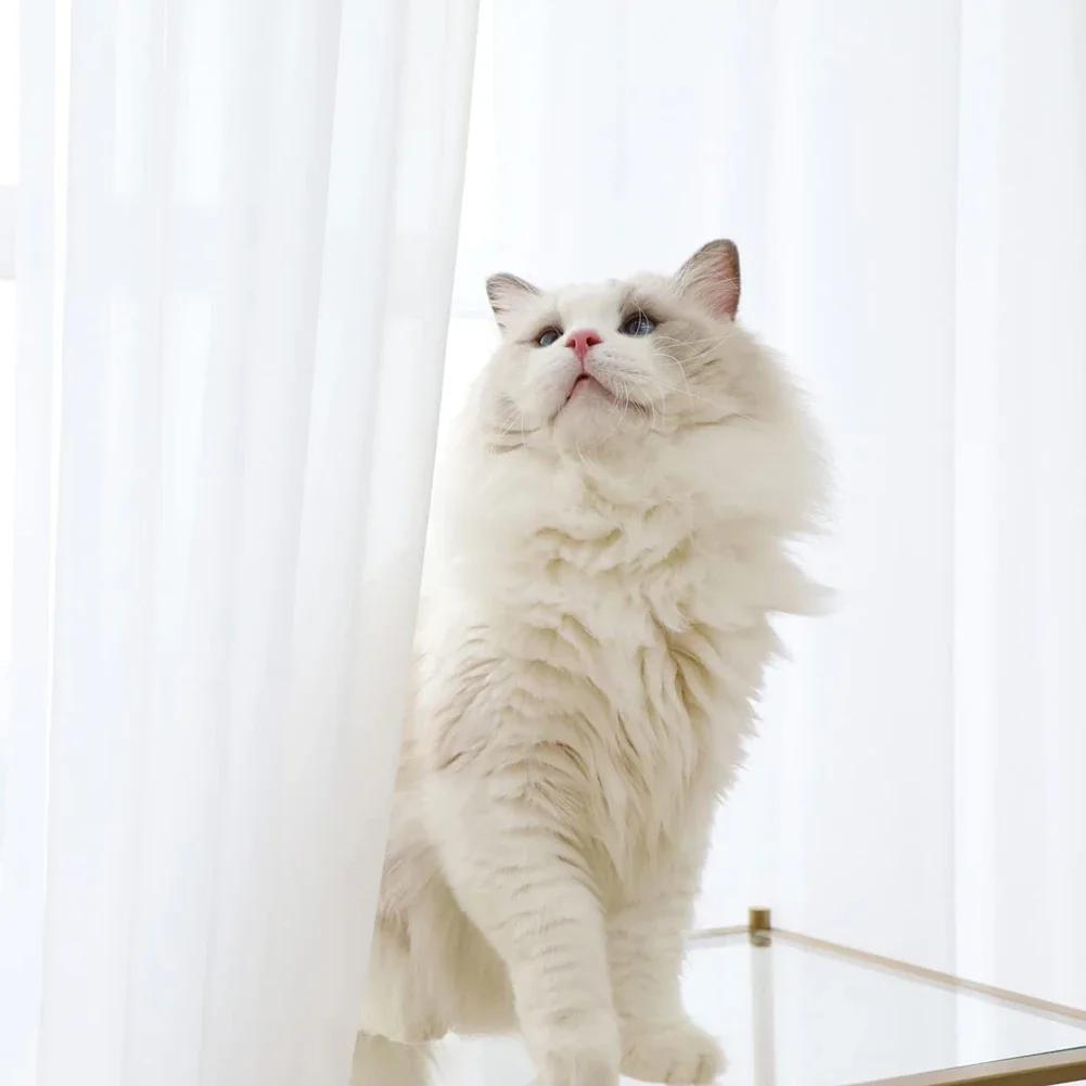 Modern White/Black/Grey Sheer Curtains for Living Room Solid Transparent Yarn Tulle Curtain for Window Kitchen Simple Home Decor