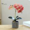 Artificial Potted Plant Faux Moth Orchid Bonsai Desktop Artificial Potted Phalaenopsis Flowers for Home Dining Table Office Desk Decoration
