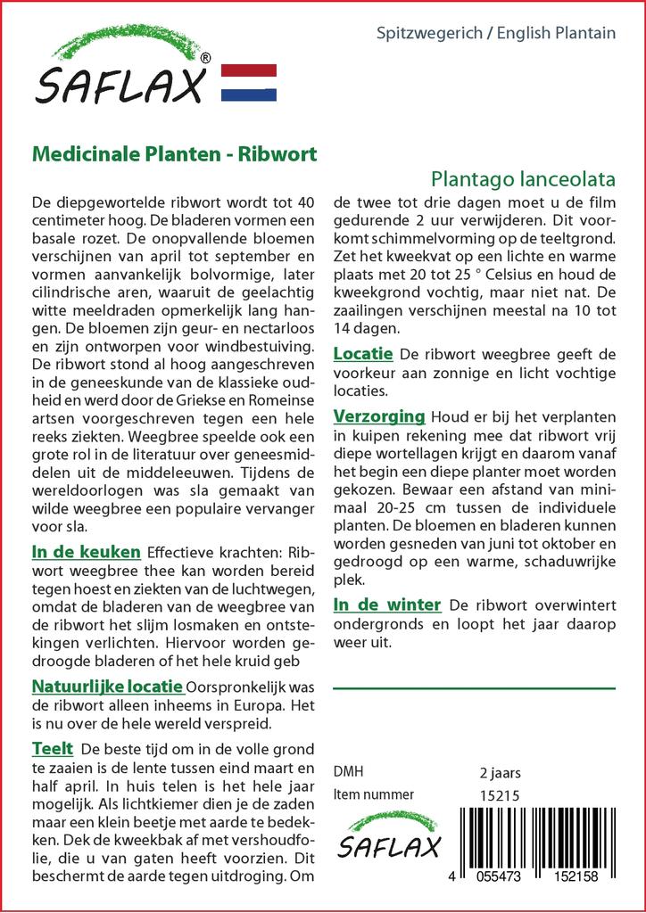 SAFLAX Zahrada v sáčku - Jitrocel kopinatý - 100 semen - Se substrátem ve vhodném stojacím sáčku - Plantago lanceolata