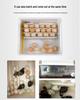 Jiayu Smart 16/36-Egg Automatic Home Chicken Incubator