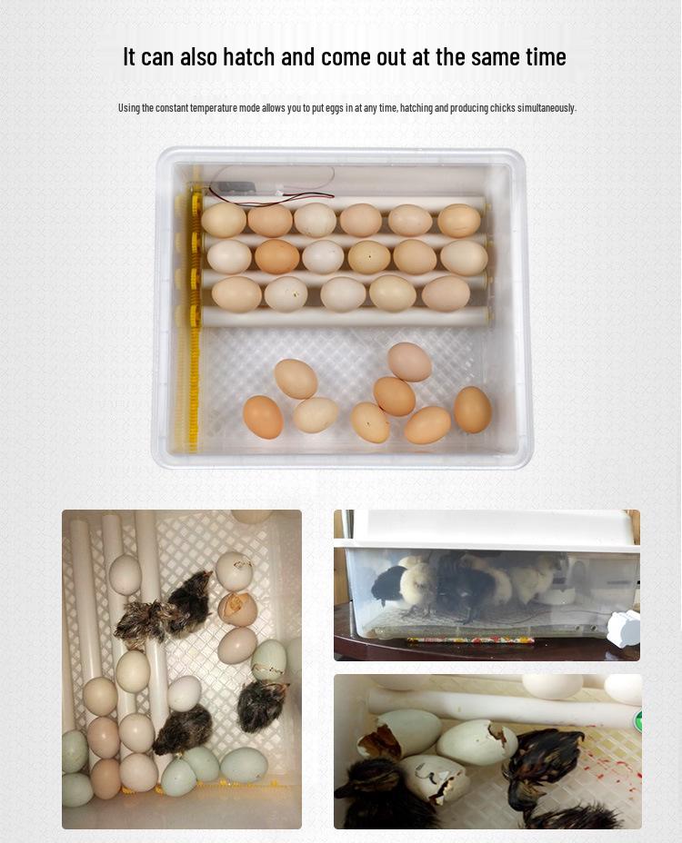 Jiayu Smart 16/36-Egg Automatic Home Chicken Incubator