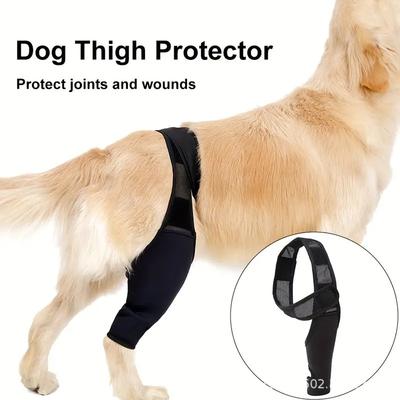 Hundekniebandage Hinterbein-Stütze für Gelenkschmerzen Muskelschmerzen Ältere Behinderte Verletzte Hunde Beinbandage zur Mobilitätsunterstützung
