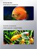 LED Aquarium Plant & Turtle Tank Light with Adjustable Bracket