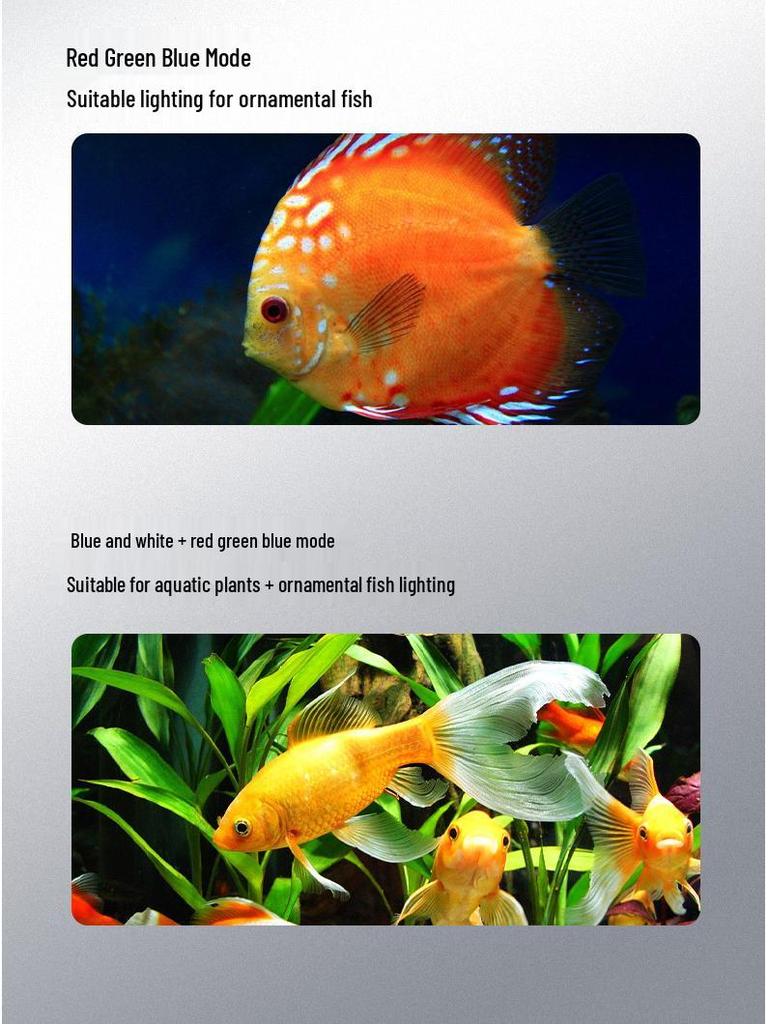 LED Aquarium Plant & Turtle Tank Light with Adjustable Bracket