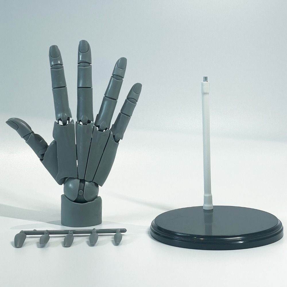 Left/Right Articulated Hand Model Flexible Poseable Anatomically Accurate Jointed Hand Adjustable Hand Finger Joint Figurine