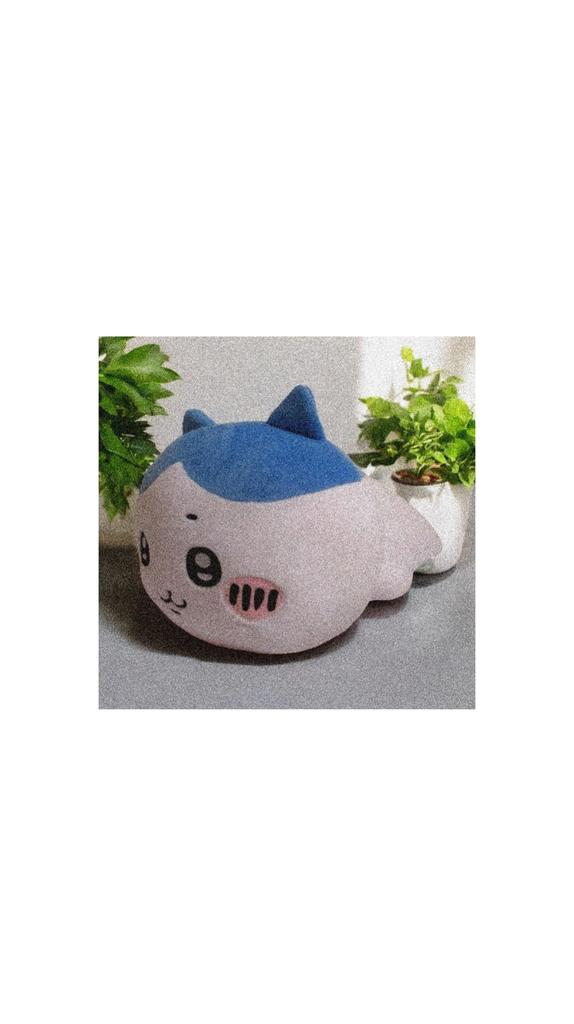 Dararan Official Big Plush Toy 35cm Approx. (Hachiwa)