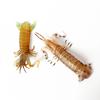 Realistic Prehistoric Sea Creatures Animal Figurines Baculite,Opabinia,Crab,Mantis Shrimp Educational Marine Animal Mode Figures
