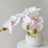 Silk Flower Simulation Butterfly Orchid 5 Heads Real Touch Artificial Phalaenopsis Bouquet Home Decor Photography Props