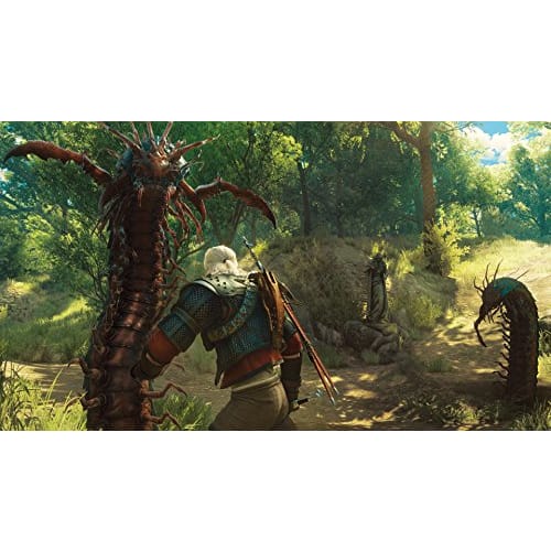 The Witcher 3 Wild Hunt Game of the Year Edition [CERO Rating "Z"] - PS4