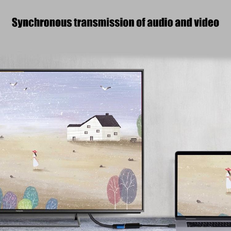 Type C To HDTV Adapter 4K Video Sound Sync USB C to HDTV Adapter 4K@60Hz Type C to HDTV USB C Adapter for PC Laptop