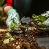 Étiquettes de Plantes en Acier Inoxydable Résistantes aux Intempéries Avec Stylo Marqueur Inclus Pour Marqueurs de Jardinage Résistants aux Intempéries Pack de 10