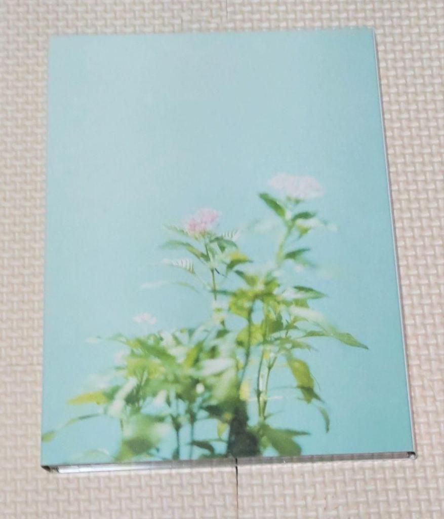 [USED] "August Christmas Premium Edition (First Press Limited Edition)" DVD + Theme Song CD
