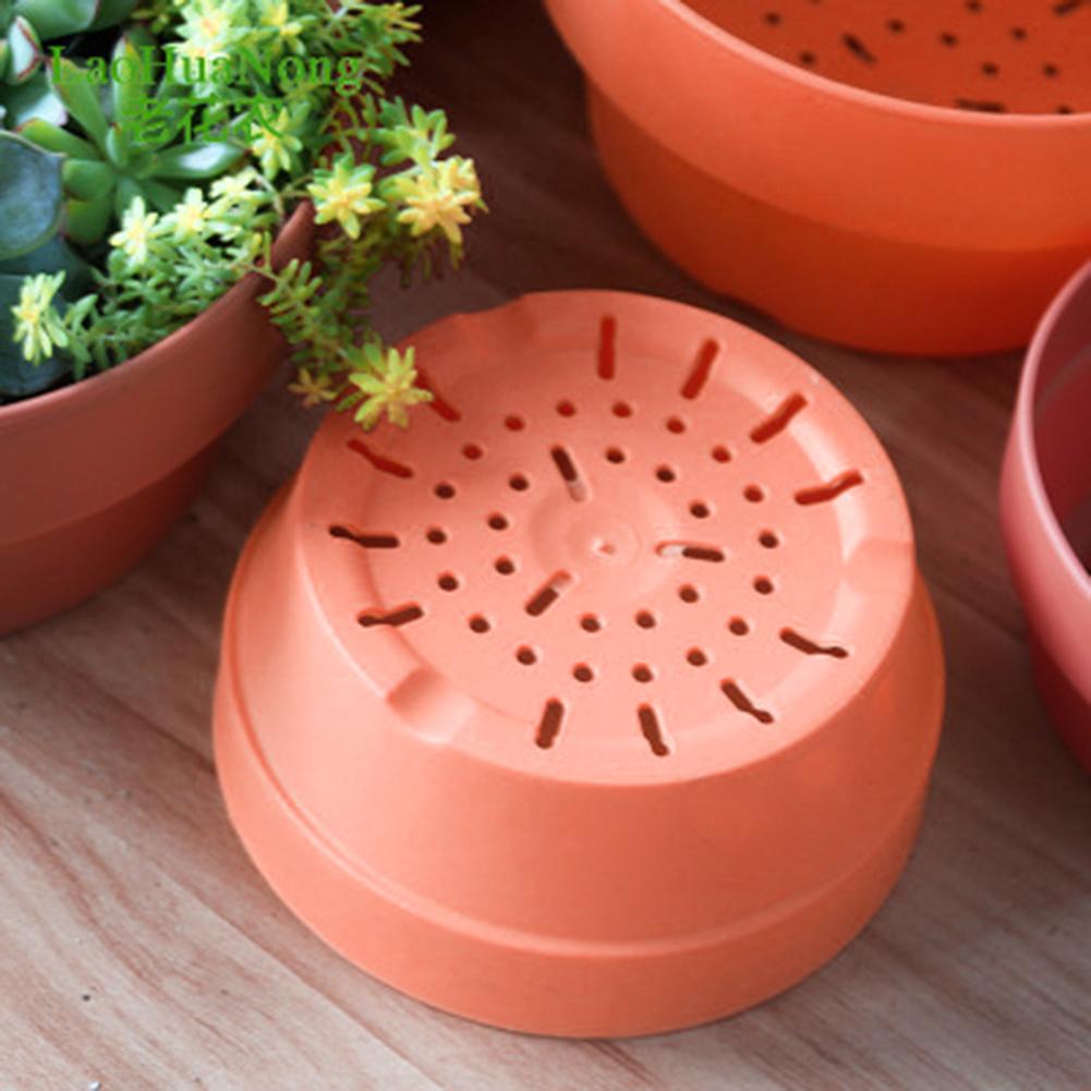 Vaso Fiorito Succulente Piante in Vaso Mini Fioriere Decorazione Ufficio Giardino Accessori Casa EL