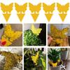 6Pcs Double Sided Sticky Board Odorless Waterproof Fruit Fly Trap UV Resistant Child Pet Safe Plant Yellow Sticky Traps for Indoor Outdoor Kitchen