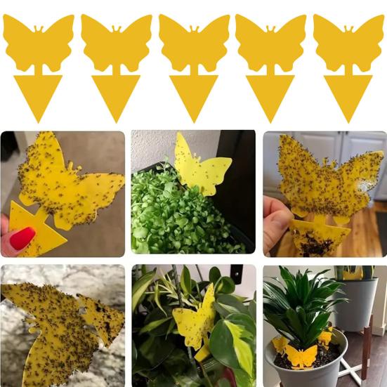 6Pcs Double Sided Sticky Board Odorless Waterproof Fruit Fly Trap UV Resistant Child Pet Safe Plant Yellow Sticky Traps for Indoor Outdoor Kitchen