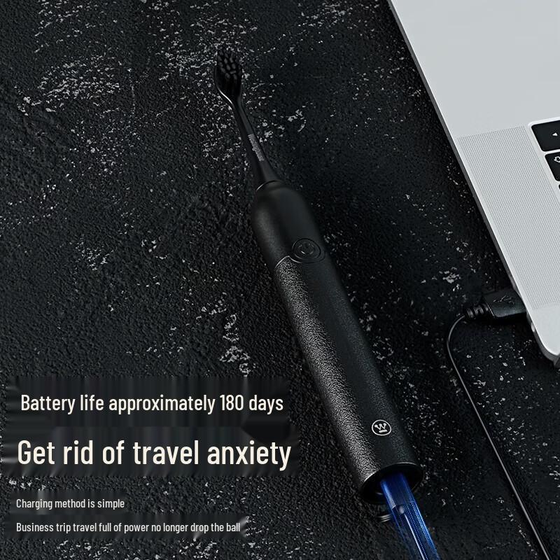 Westinghouse Artistic Leather Sonic Electric Toothbrush