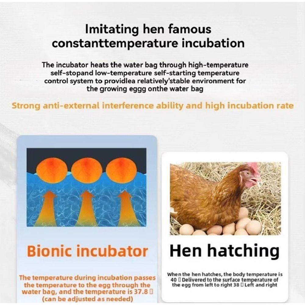 24-hour Thermostatic Small Poultry Egg Incubator Biomimetic Waterbed Fully Automatic Incubator Intelligent Chicken Duck Goose